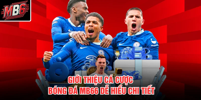Cá Cược Bóng Đá MB66 1 Giới thiệu cá cược bóng đá MB66 dễ hiểu chi tiết